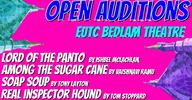 Auditions